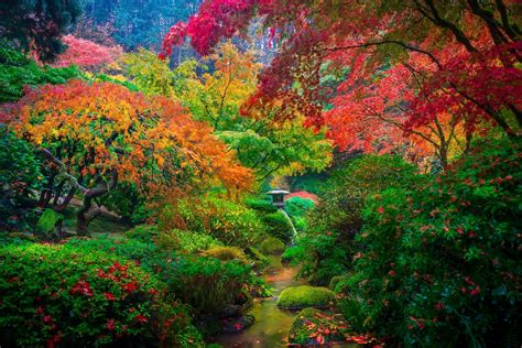 Vibrant Fall A Colorful Japanese Garden Hd Wallpaper