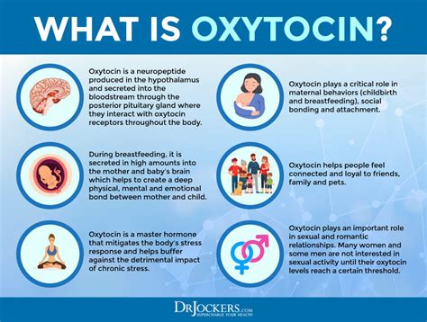 Oxytocin Is Known As The Love Hormone Heres Why Its Important And How To Increase It