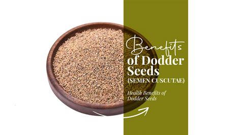 Dodder Seeds Benefits - Cuscuta seeds (Tu Si Zi) | Where To Buy