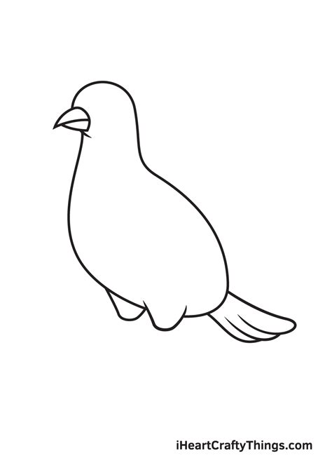 Dove Drawing - How To Draw A Dove Step By Step