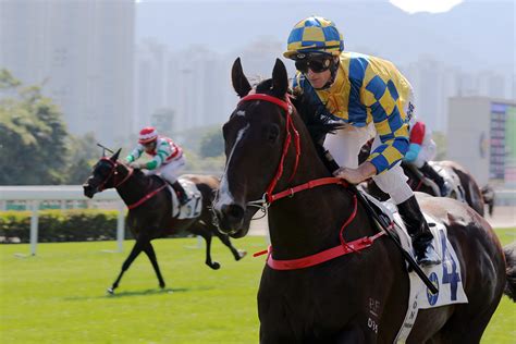 四歲經典賽佳駟加入超新星之列 賽馬新聞 香港賽馬會