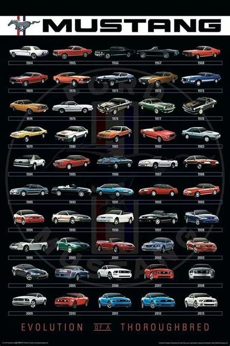 Evolution of the Mustang | Autos mustang, Autos y motocicletas, Coches y motocicletas