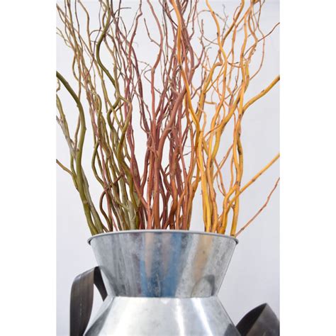 Curly Willow Branches For Arrangements Long Stem Natural