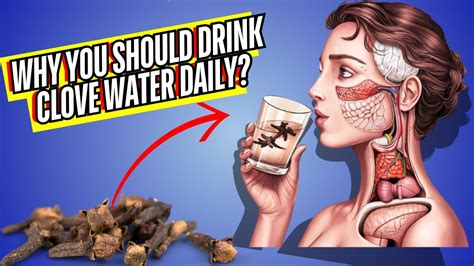 Top 11 Amazing Benefits Of Clove Water And How To Make It Youtube