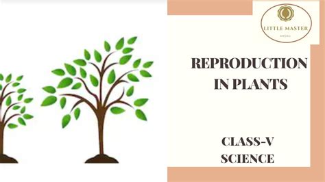 Reproduction In Plants Science Class 5 Youtube