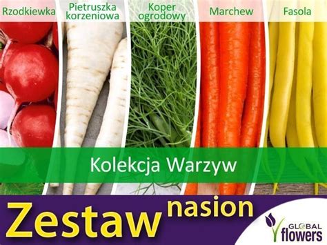 Kolekcja Warzyw Polskich zestaw 5 gatunków nasiona Sklep ogrodniczy