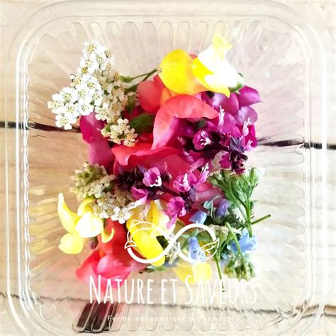Les Fleurs Comestibles De Nature Et Saveurs