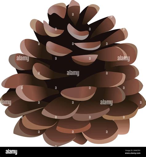 Vector Pine Cone Isolated On White Background Stock Vector Image Art