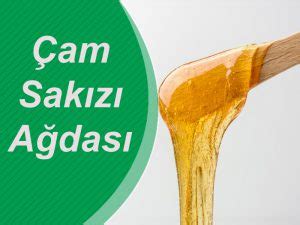 Çam Sakızı Ağdası Nasıl Kullanılır Sakızı Ağdası Yapmanın Püf