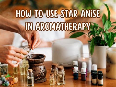 Unlock The Guide How To Use Star Anise You Should Know