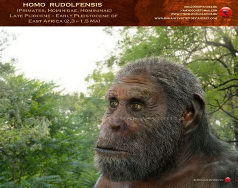 Homo rudolfensis by RomanYevseyev on DeviantArt