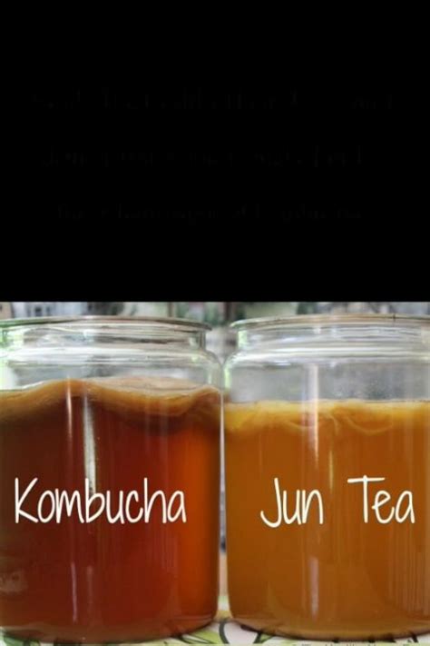 What Is Jun How To Make Jun Tea Recipe Video Video Recipe