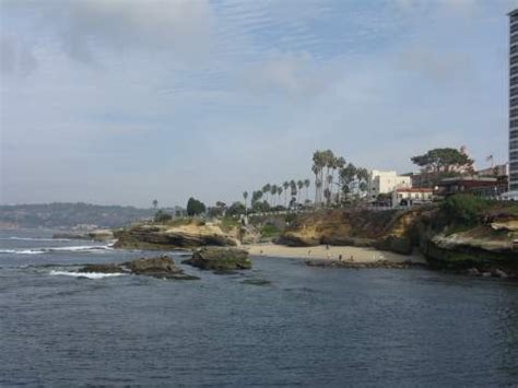 La Jolla Attractions | La Jolla Coast Walk