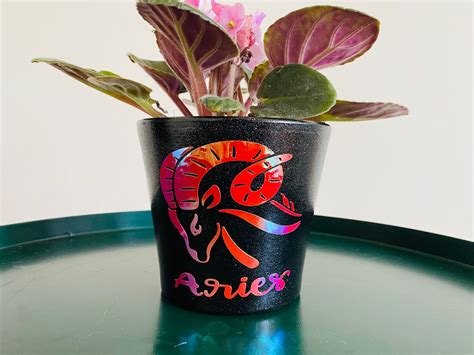 Aries Zodiac Plant Pot 4 Inch Planter With Drainage Hole Etsy