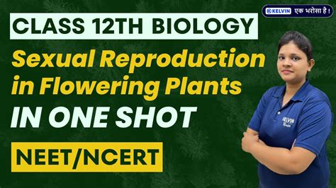 Sexual Reproduction In Flowering Plants One Shot Class 12 Biology