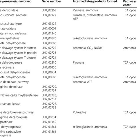 Central Metabolic Pathways Of L Hongkongensis Hlhk Deduced From Its