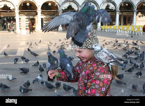 Young Girl Feeding Pigeons, San Marco, Venice, Italy Stock Photo - Alamy