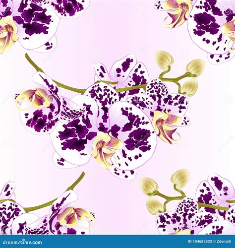 Seamless Texture Branch Orchids Flowers Spotted Purple And White