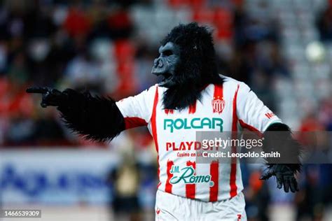 Mascot Of Necaxa Photos and Premium High Res Pictures - Getty Images