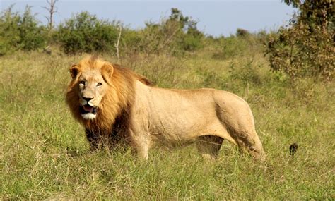 BLOG: 5 Eswatini Travel Treasures: The Best of the Kingdom | The ...