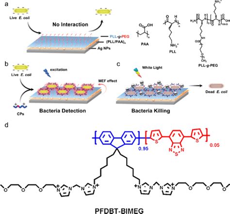 Conjugated Polymer Silver Nanostructures For Multifunctional Bioassay Download Scientific