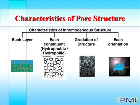 Ppt Characterization Of Pore Structure Foundation Powerpoint