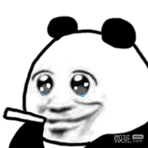 Chinese Panda Smoking Chinese Panda Reaction Images Biaoqing Panda