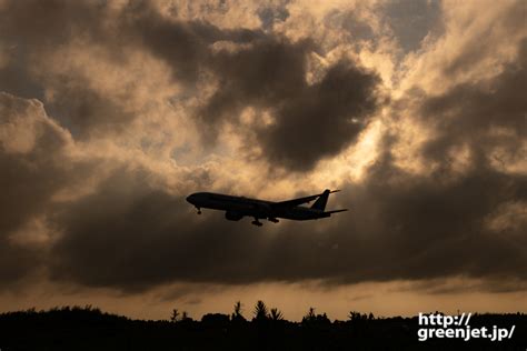 成田で飛行機～sq12を夕陽の逆光で捉える Mgt Greenjet 飛行機撮影記