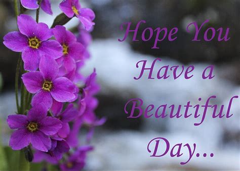 Hope You Have A Wonderful Day