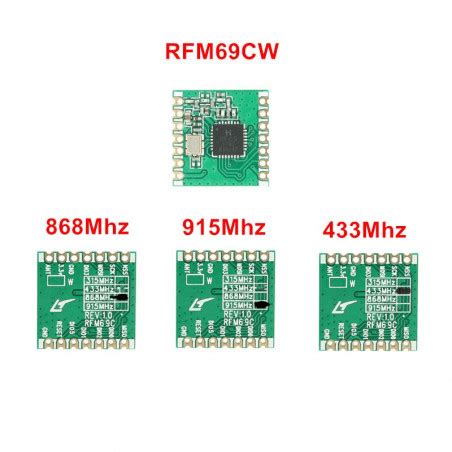 Rfm Cw Sx Mhz Mhz Mhz Dbm Hoperf Transceiver Module