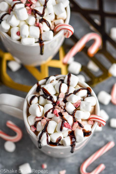 Peppermint Hot Chocolate Shake Drink Repeat