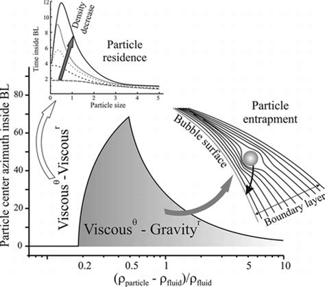 Hydrodynamic Boundary Layer At A Rising Air Bubble And Entrapment Of