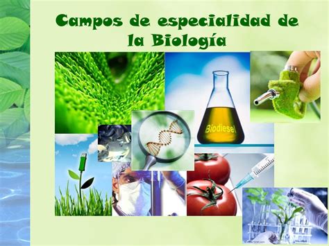 Bloque I Reconoces a la Biología como ciencia de la vida