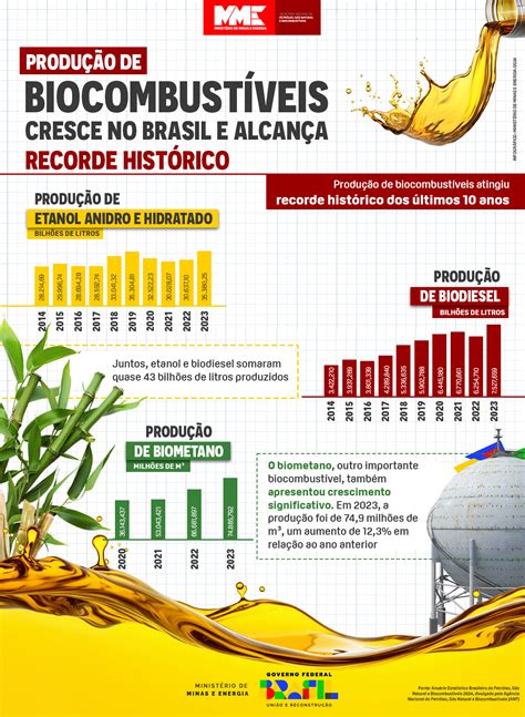 Produ O De Biocombust Veis Cresce No Brasil E Alcan A Recorde