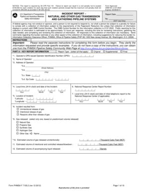 Fillable Online Phmsa Dot Form Approved OMB NO 2137 0522 Expires 02