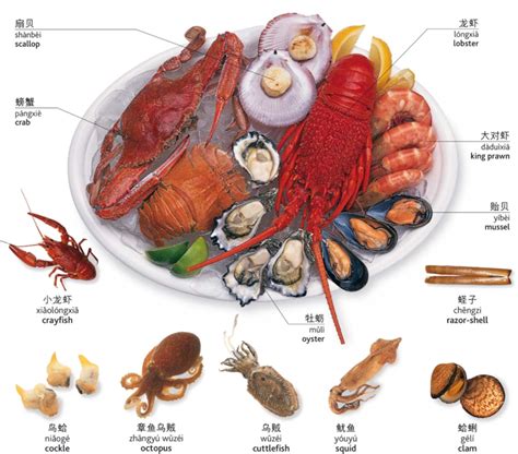 几乎所有食材的英文翻译，你会用吗？建议收藏（配音标） - 知乎