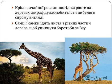 Презентация на тему: "Виконала студентка І курсу групи А л / с (9 ...