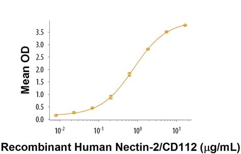 Recombinant Human PVRIG Fc Chimera Protein CF 9365 PV By R D Systems