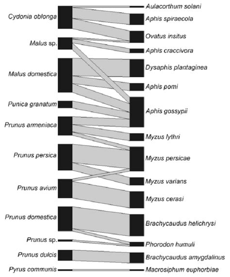 Quantitative Bipartite Network Of Interactions Between Host Trees