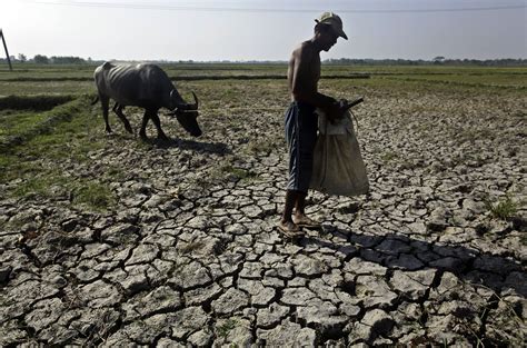 P4.35B worth of crops lost to El Niño