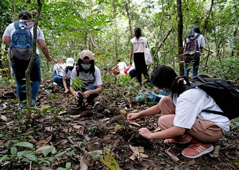 Filipino Catholics Launch Bamboo Forest Project To Help Fight Climate