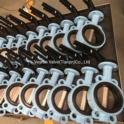 BS En JIS DIN ANSI Di Wcb Carbon Steel Ductile Iron SS304 Wormgear