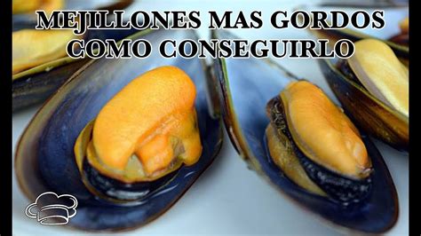 Truco Para Que ENGORDEN LOS MEJILLONES Mejillones Mas Grandes YouTube