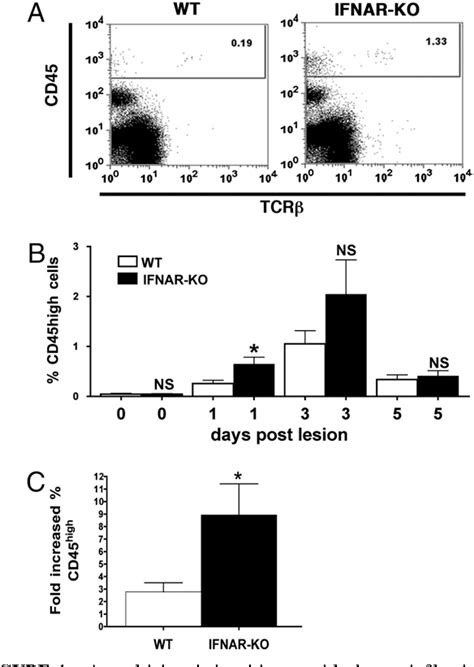 Figure 1 From Injury Induced Type I IFN Signaling Regulates