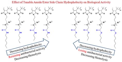 Side Chain Degradable CationicAmphiphilic Polymers With Tunable