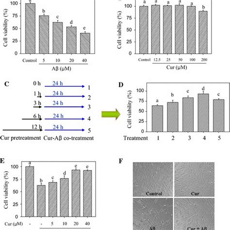 Protective Effects Of Curcumin Against A Induced Cytotoxicity In Pc