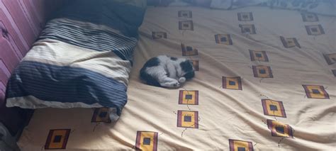 How do I remove this off my bed? I have tried everything I could