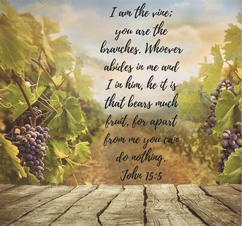 The Fifth Sunday Of Easter Reflections Sunday 2nd May 2021 St Peter