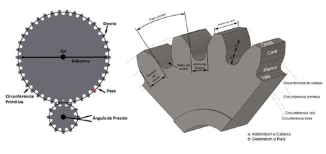 Mirar fijamente Individualidad tempo espesor diente engranaje ...