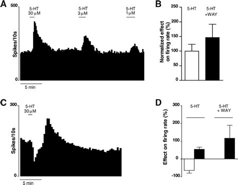 Ht Ex Vivo Induces An Excitatory Effect On Stn Neurons A Example